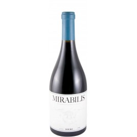 Mirabilis Tinto